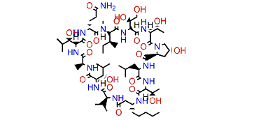 Lobocyclamide C